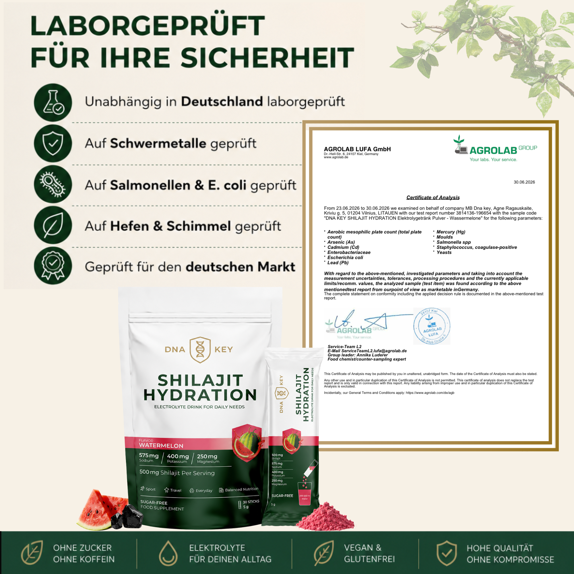 lang-DE